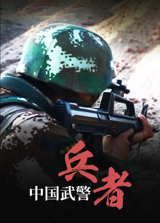 中国武警：兵者